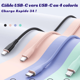 Câble USB-C 4 Couleurs Ultra-résistant - 1m ou 2m - PANDAGLOBE