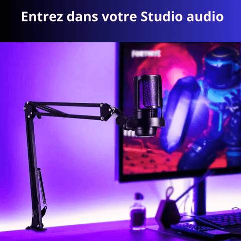 Microphone 360° avec LEDs pour Gaming et Podcasts - Qualité Studio - PANDAGLOBE