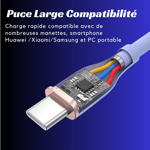 Câble USB-C 4 Couleurs Ultra-résistant - 1m ou 2m - PANDAGLOBE