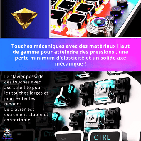 Clavier Mécanique Multicolore pour Gamers - Confort et Style - PANDAGLOBE